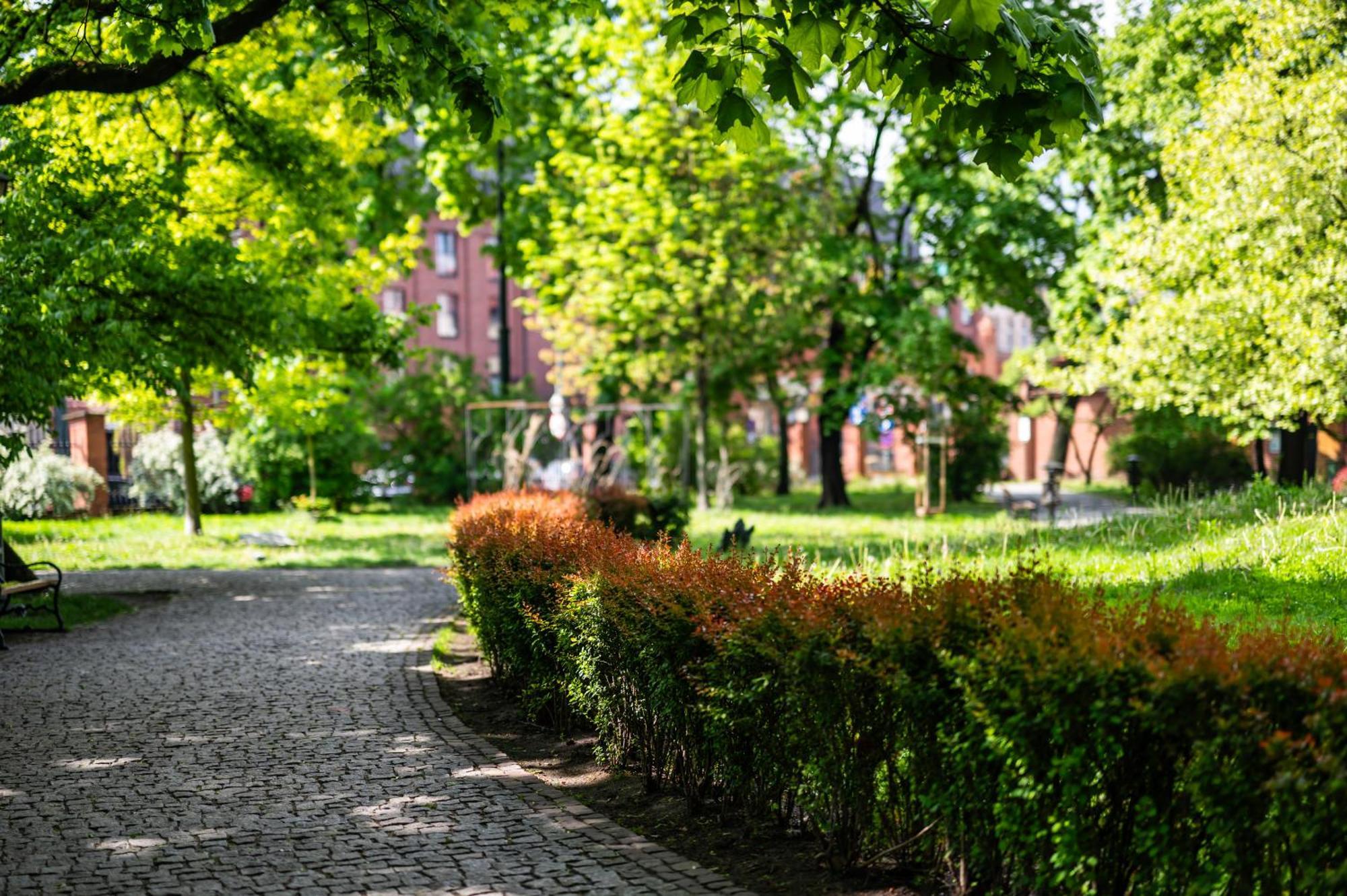 Wenecja Parking Gratis Moxy Te&Am Cracow Lejlighed Kraków Eksteriør billede